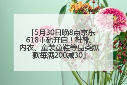 5月30日晚8点京东618重磅开启！鞋靴、内衣、童装童鞋等品类爆款每满200减30