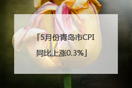 5月份青岛市CPI同比上涨0.3%