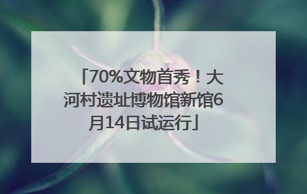 70%文物首秀！大河村遗址博物馆新馆6月14日试运行