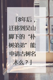8年后，迁移到吴山脚下的“朴树弟弟”能申请古树名木么？