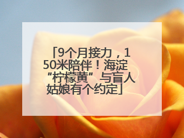 9个月接力，150米陪伴！海淀“柠檬黄”与盲人姑娘有个约定