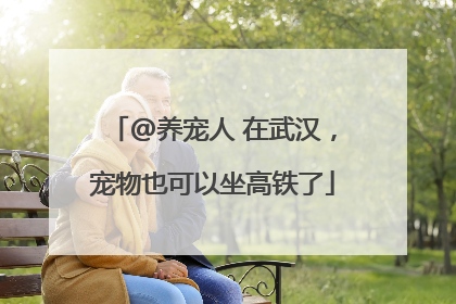 @养宠人 在武汉，宠物也可以坐高铁了
