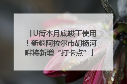 U街本月底竣工使用！新疆阿拉尔市胡杨河畔将新增“打卡点”